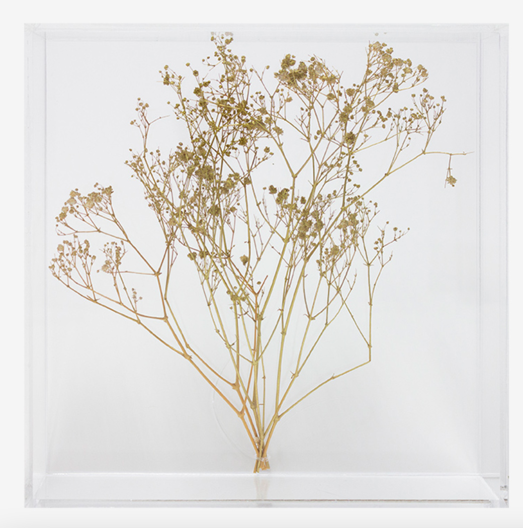 Quadro Escultura Cornicci Dourado - 25x25 cm