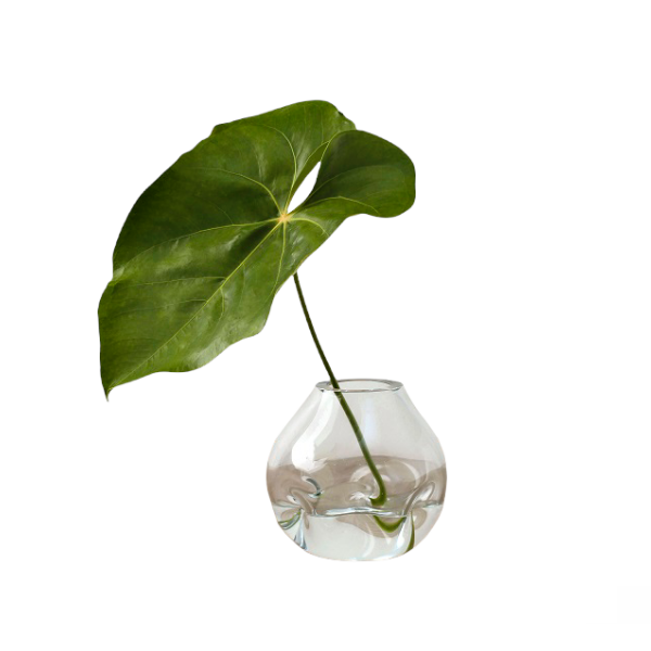 Vaso Bolha - 37x39 cm | G